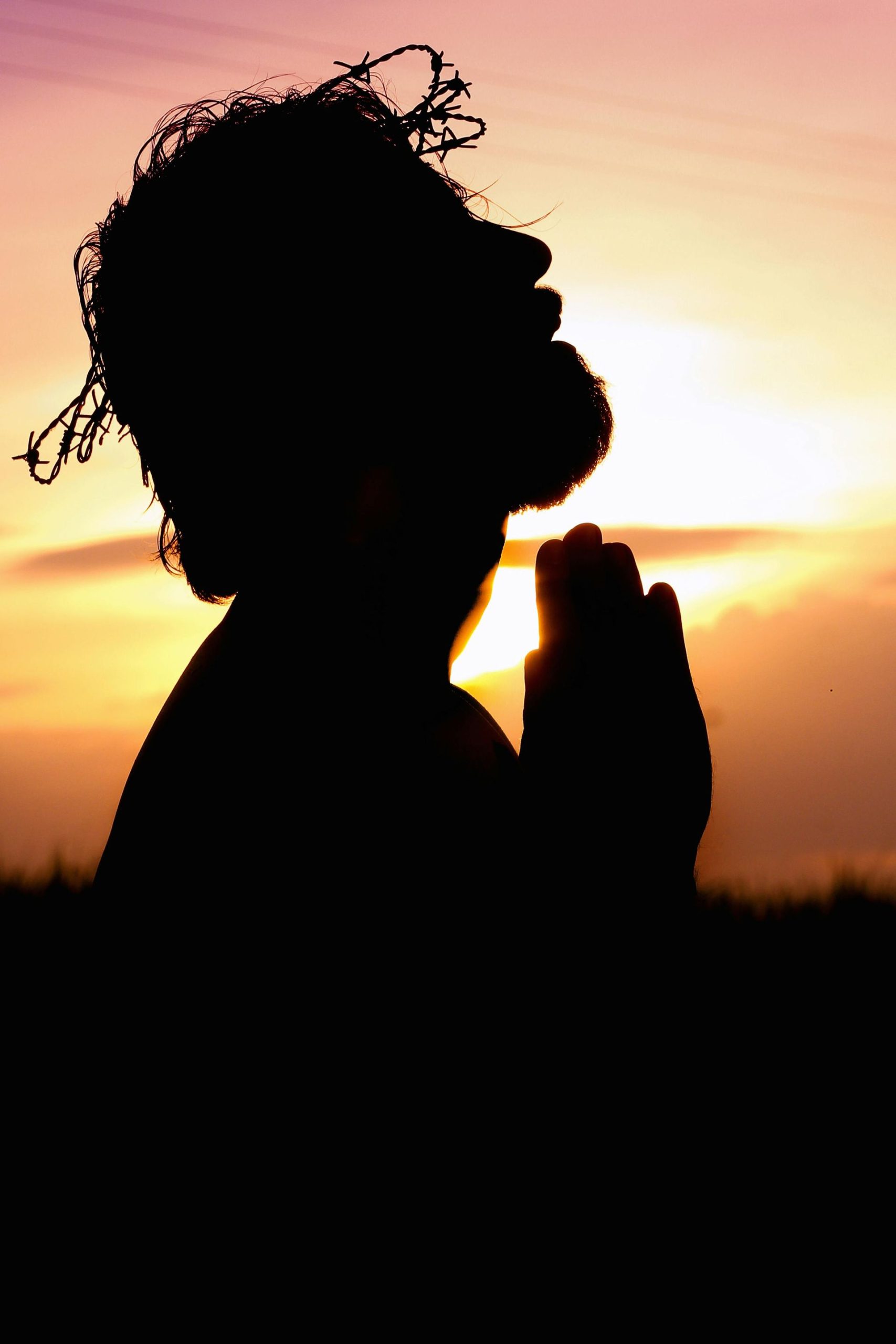 silhouette