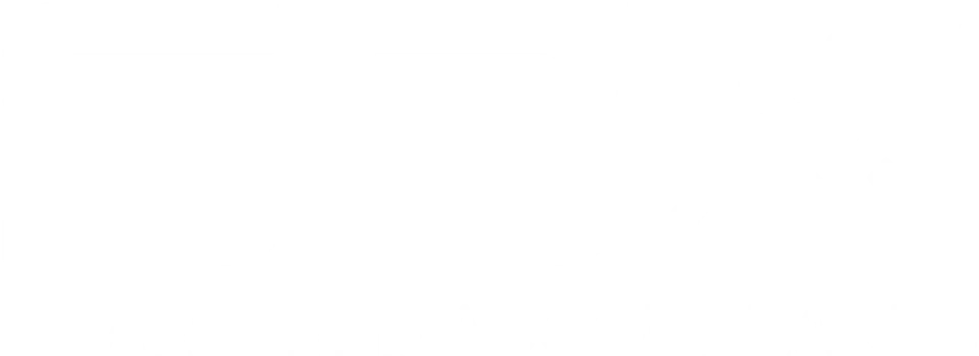 SBX Accountants logo